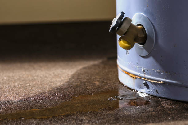 Best Flood restoration services  in Aberdeen, OH