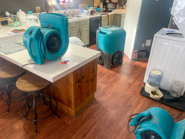 Best Flood damage cleanup  in Aberdeen, OH