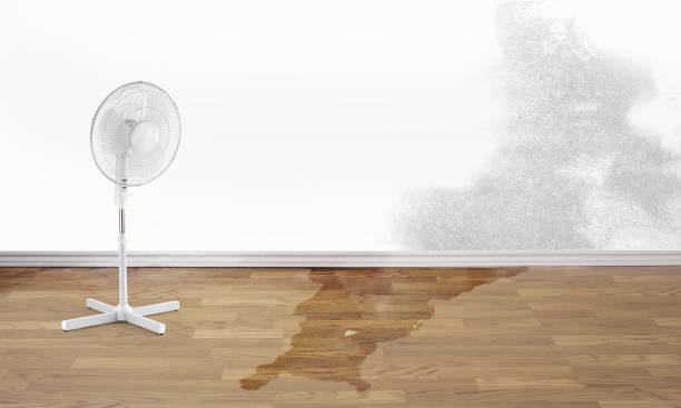 Best 24-hour water damage restoration  in Aberdeen, OH